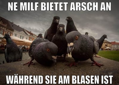 ne milf bietet arsch an während sie am blasen ist