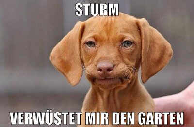 Sturm verwüstet mir den garten