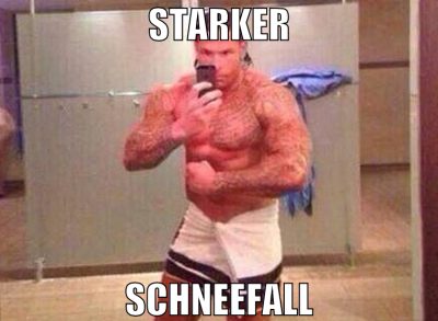 starker schneefall