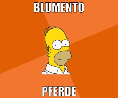 blumento pferde
