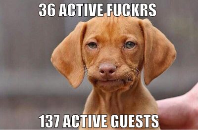 36 active fuckrs  137 active guests