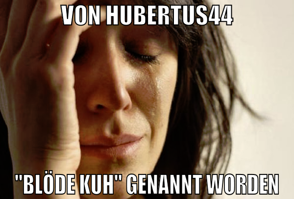 von hubertus44 "blöde kuh" genannt worden