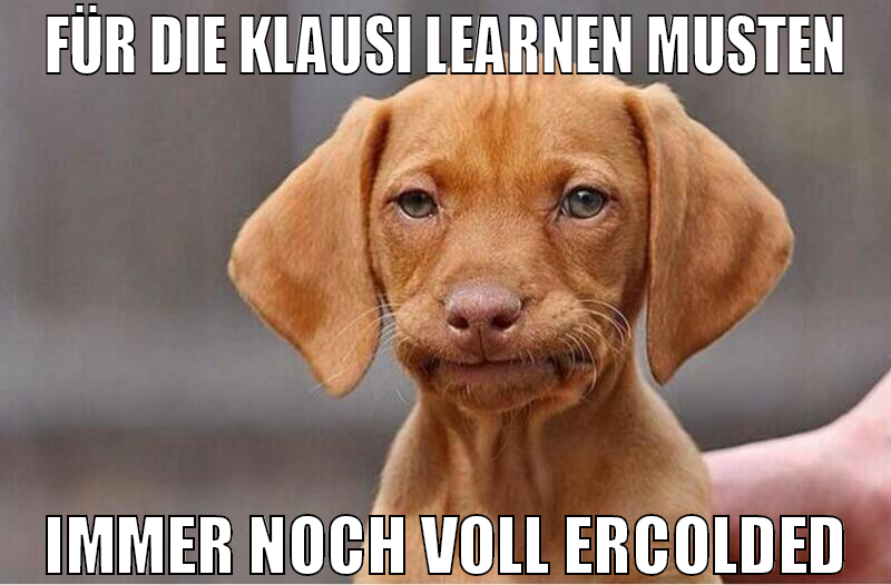 Für die Klausi learnen musten immer noch voll erco