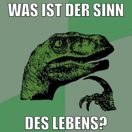 Was ist der Sinn Des Lebens?