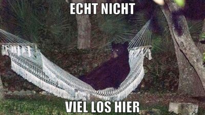 echt nicht viel los hier