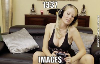 1337 images