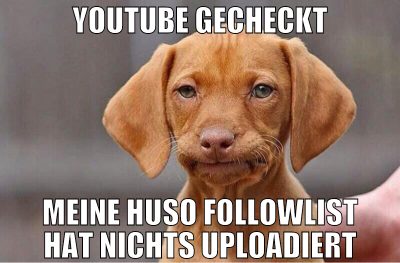 youtube gecheckt meine huso followlist hat nichts