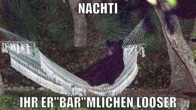 Nachti ihr er"bär"mlichen looser