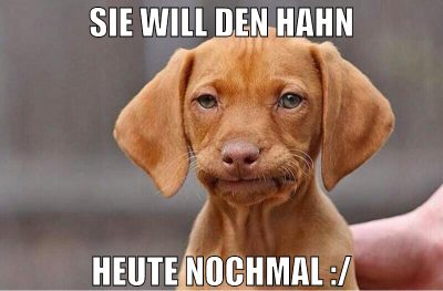 sie will den hahn heute nochmal :/
