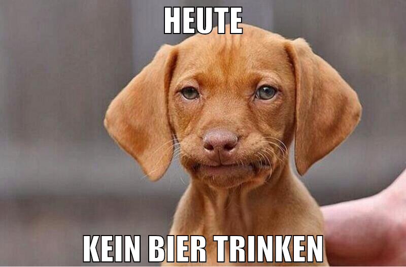 heute kein bier trinken