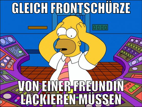 gleich frontschürze von einer freundin lackieren m