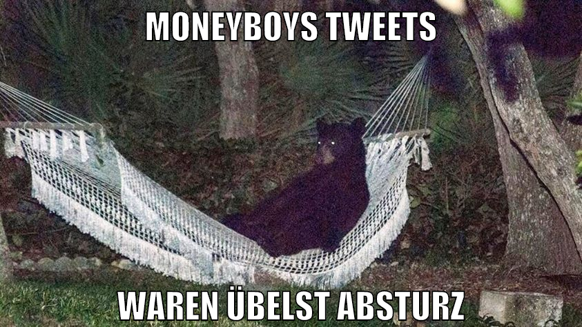 moneyboys tweets waren übelst absturz