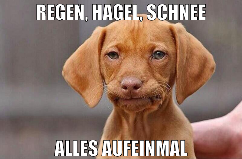 regen, hagel, schnee alles aufeinmal