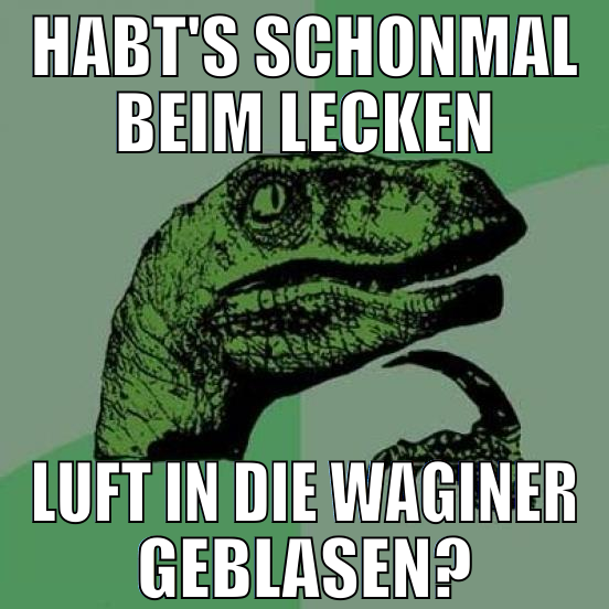 habt's schonmal beim lecken luft in die waginer ge