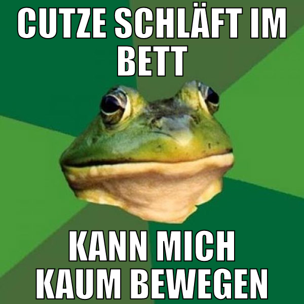 cutze schläft im bett kann mich kaum bewegen