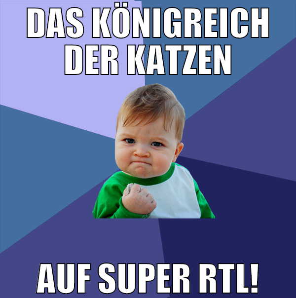 das königreich der katzen auf super rtl!