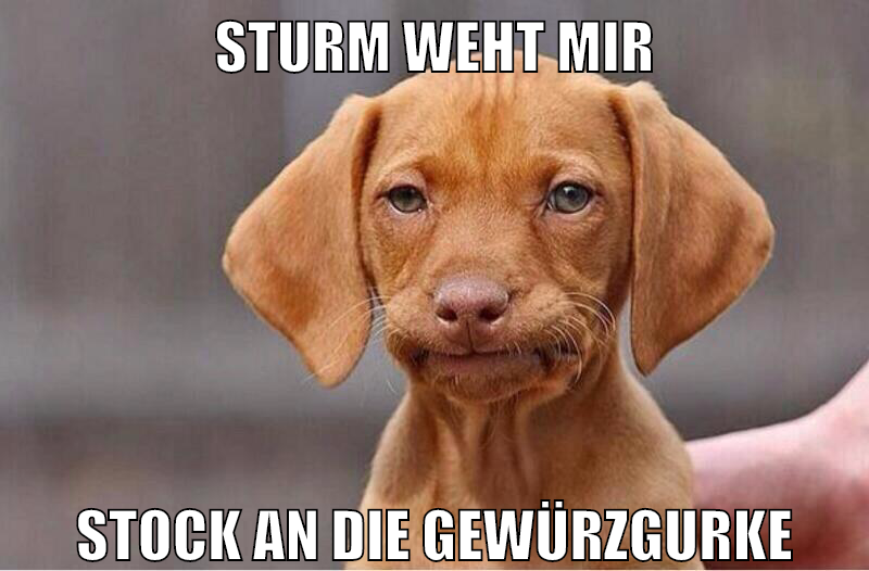 sturm weht mir stock an die gewürzgurke