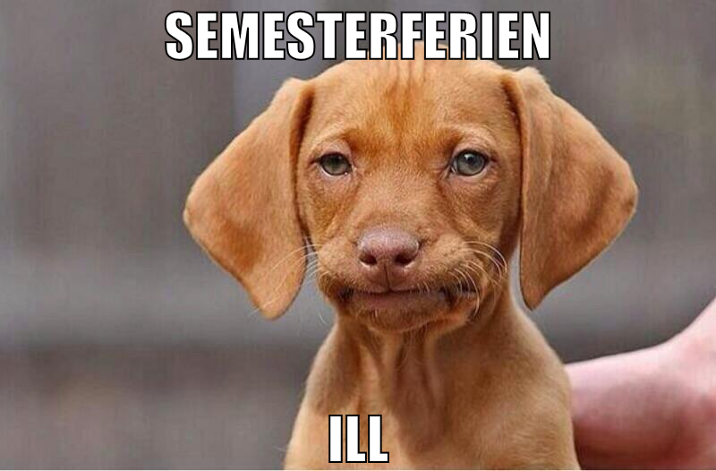 semesterferien ill