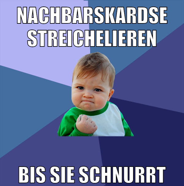 Nachbarskardse streichelieren bis sie schnurrt