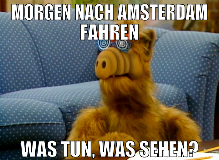 morgen nach amsterdam fahren was tun, was sehen?