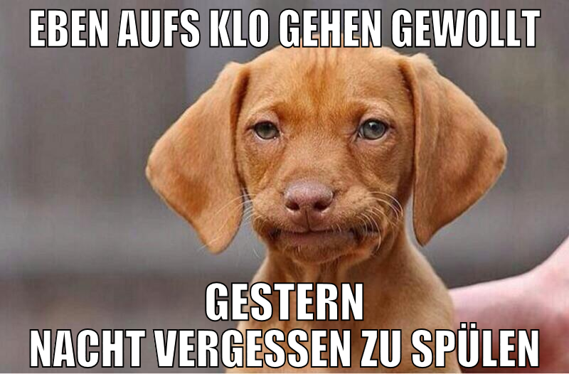 Eben aufs klo gehen gewollt gestern nacht vergesse