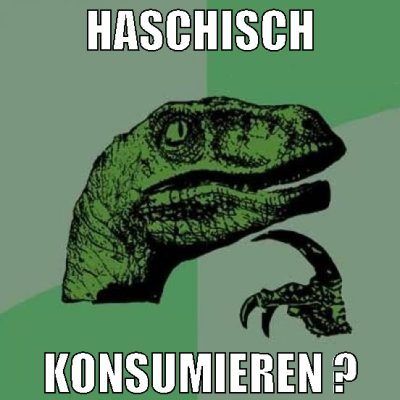 haschisch konsumieren ?