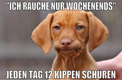 "Ich rauche nur wochenends" jeden tag 12 kippen sc