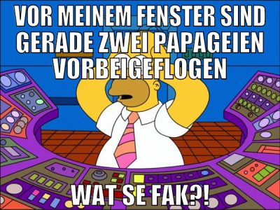vor meinem fenster sind gerade zwei papageien vorb