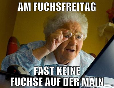 am fuchsfreitag fast keine fuchse auf der main