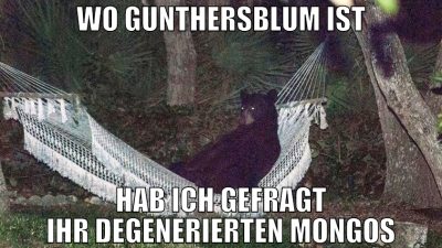 wo gunthersblum ist hab ich gefragt ihr degenerier
