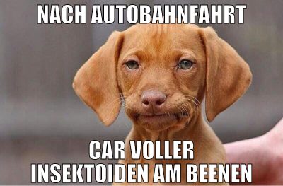 nach autobahnfahrt car voller insektoiden am beene
