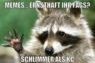 memes... ernsthaft ihr fags? schlimmer als kc
