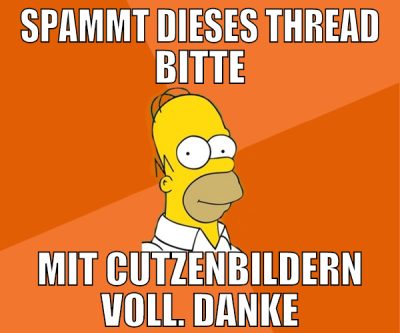 spammt dieses thread bitte mit cutzenbildern voll.
