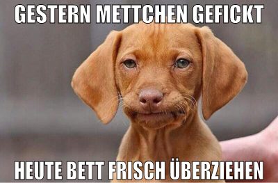 Gestern mettchen gefickt heute bett frisch überzie
