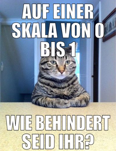 auf einer skala von 0 bis 1 wie behindert seid ihr
