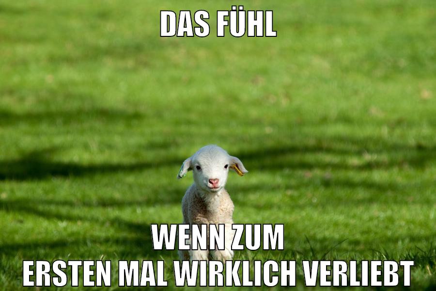 das fühl wenn zum ersten mal wirklich verliebt