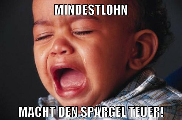 mindestlohn macht den spargel teuer!