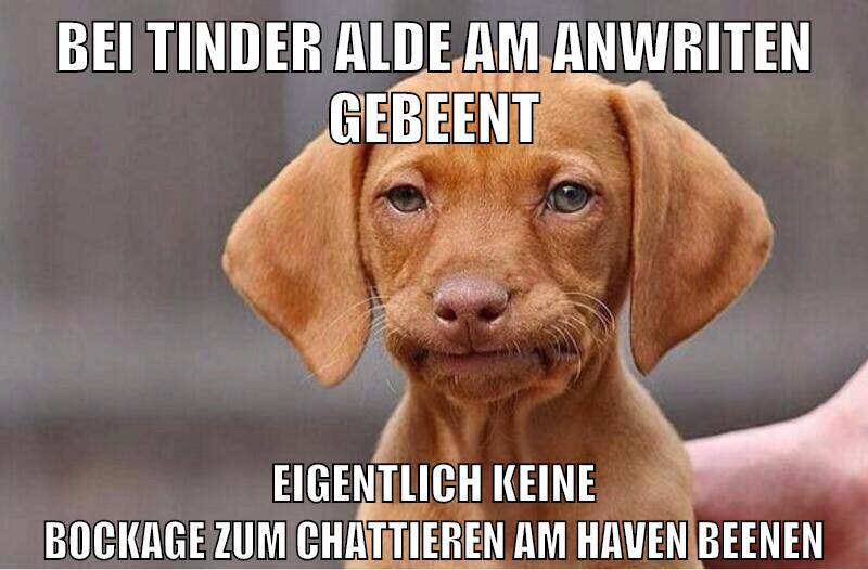 bei tinder alde am anwriten gebeent eigentlich keine bockage zum chattieren am haven beenen