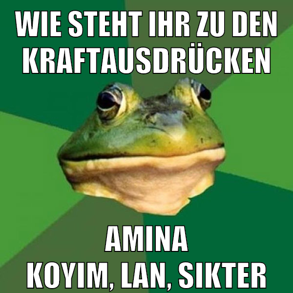 wie steht ihr zu den kraftausdrücken amina koyim, lan, sikter