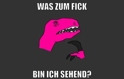 WAS ZUM FICK BIN ICH SEHEND?