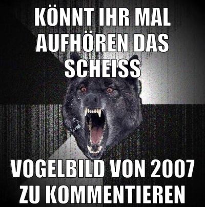 könnt ihr mal aufhören das scheiß vogelbild von 2007 zu kommentieren