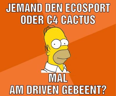 jemand den ecosport oder c4 cactus mal am driven gebeent?