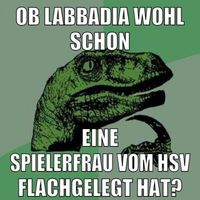 ob labbadia wohl schon eine spielerfrau vom hsv flachgelegt hat?