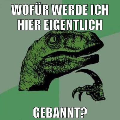 wofür werde ich hier eigentlich gebannt?