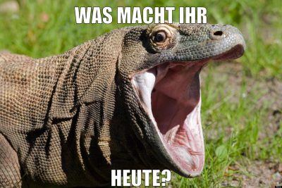 was macht ihr heute?