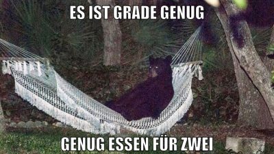 es ist grade genug genug essen für zwei