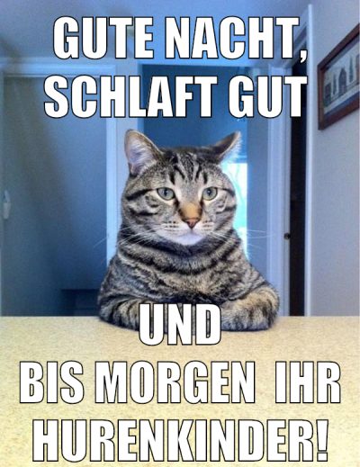 Gute Nacht, schlaft gut und bis Morgen  ihr HUrenkinder!