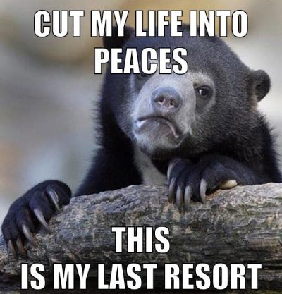 cut my life into peaces this is my last resort
