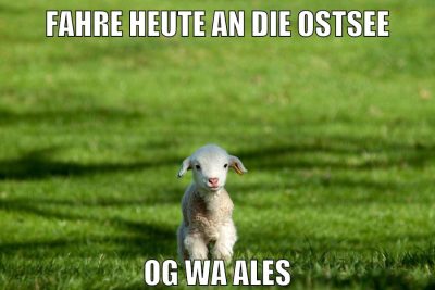 fahre heute an die ostsee og wa ales