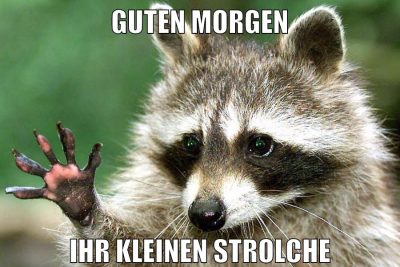 guten morgen ihr kleinen strolche